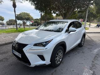 Lexus NX 2020