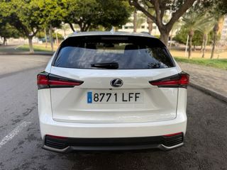Lexus NX 2020