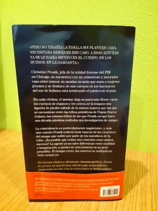 Novela negra Almas de piedra