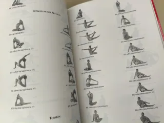PRACTICA DE YOGA AVANZADO SWÁSTA YOGA SHÁSTRA