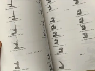 PRACTICA DE YOGA AVANZADO SWÁSTA YOGA SHÁSTRA