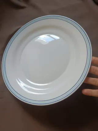 Plato Arcopal Vintage Azul y Blanco