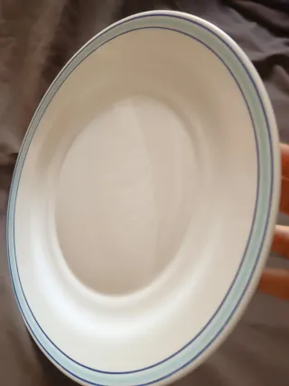 Plato Arcopal Vintage Azul y Blanco