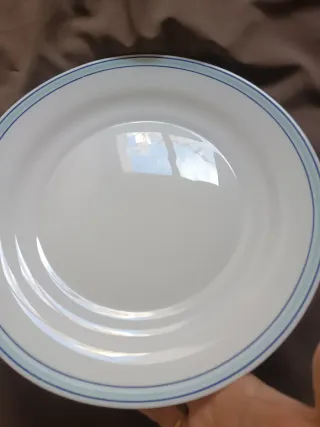 Plato Arcopal Vintage Azul y Blanco