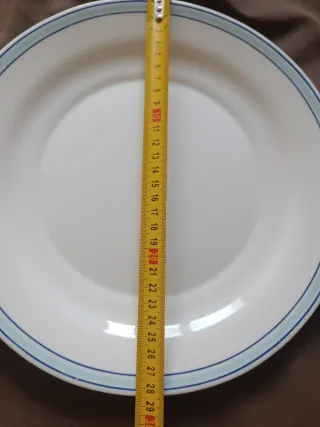 Plato Arcopal Vintage Azul y Blanco