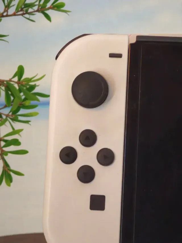 Nintendo Switch OLED Bianca come nuova