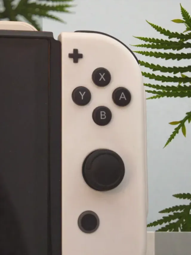 Nintendo Switch OLED Bianca come nuova