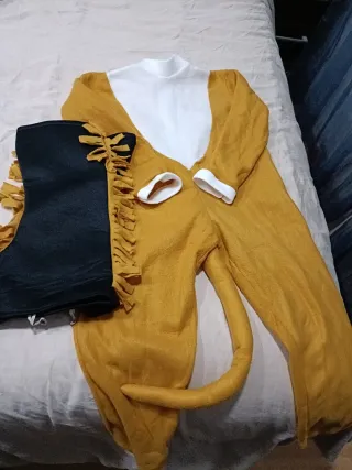 Disfraz León Niño Talla 6