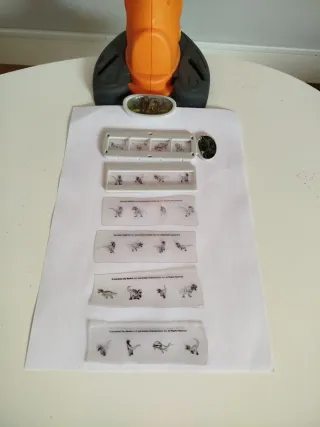 Proyector de Dibujos Dinosaurios