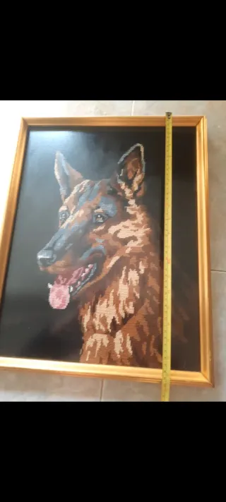 Cuadro medio punto pastor alemán