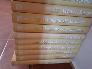 Libros NOVELA HISTÓRICA. SALVAT