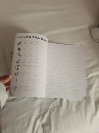 Libros de caligrafía