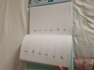 Libros de caligrafía