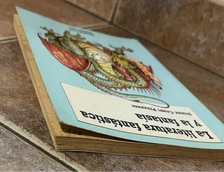 La literatura fantástica y la fantasía