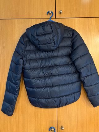 Chaquetas Carhartt Champion