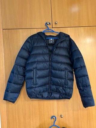 Chaquetas Carhartt Champion