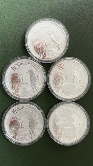 Onza Plata 2023 Kookaburra