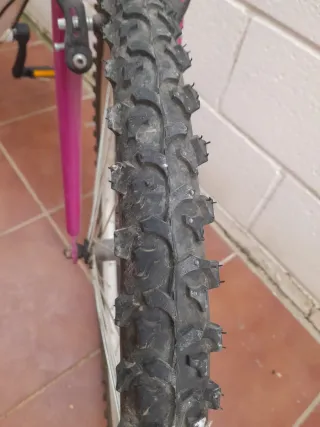 2 Bicicletas Niña Ruedas 22