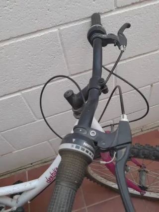 2 Bicicletas Niña Ruedas 22