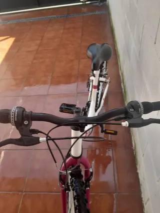 2 Bicicletas Niña Ruedas 22