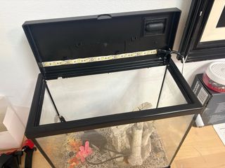 Pecera con decoración y luz led