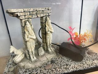 Pecera con decoración y luz led