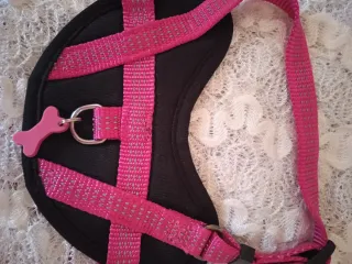 Arnés para perro pequeño