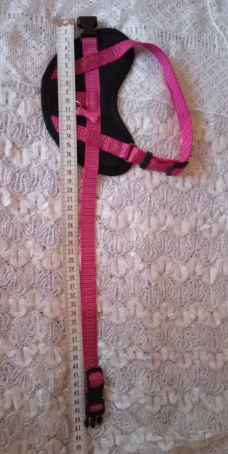 Arnés para perro pequeño