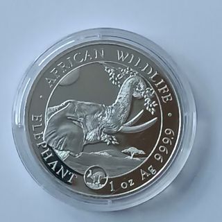 Moneda Plata Elefante Somalia 2023 Privy Rabbit