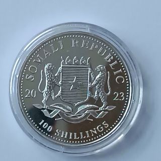 Moneda Plata Elefante Somalia 2023 Privy Rabbit