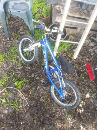4 Bicicletas infantiles (niño y niña)