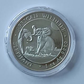 Moneda Plata Elefante Somalia 2024 1oz .9999