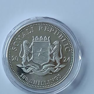 Moneda Plata Elefante Somalia 2024 1oz .9999