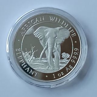 Moneda Plata Elefante Somalia 1 oz 9999
