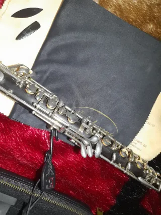 Oboe Bulgheroni con funda KG