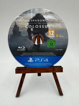 Shadow of the Colossus PS4 completo