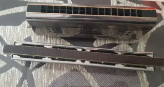 Due armoniche in vendita: Golden Swallow e un'altra senza marca visibile