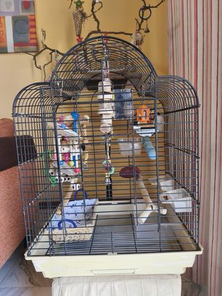 Jaula Ninfa con columpio y juguetes. LOTE.