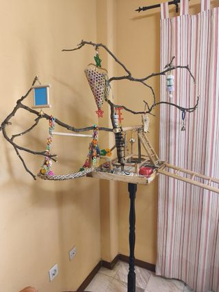 Jaula Ninfa con columpio y juguetes. LOTE.