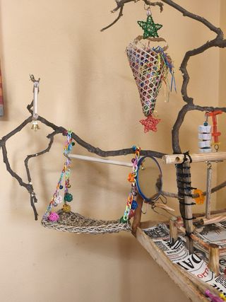 Jaula Ninfa con columpio y juguetes. LOTE.