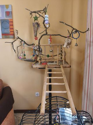 Jaula Ninfa con columpio y juguetes. LOTE.