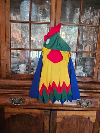 Disfraz Indio Nativo Americano