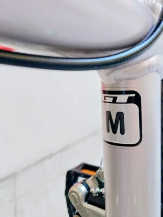 Bicicleta de aluminio GT de 26 (De mujer)