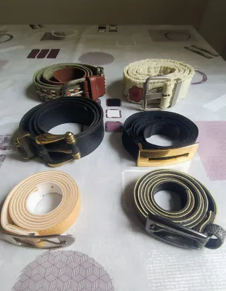 6 cinturones variados