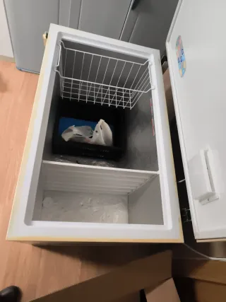 Arcón congelador Lynx