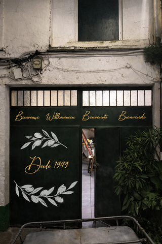 Mural Artista Graffiti Dibujo Pared