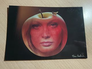 Postal Foto Sam Haskins