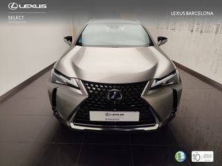 Lexus UX250h PREMIUM 2021 REF 5617