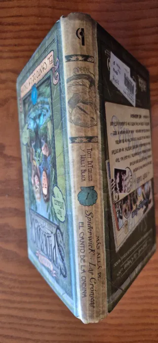 EL CANTO DE LA ONDINA: MAS ALLA DE LAS CRONICAS...