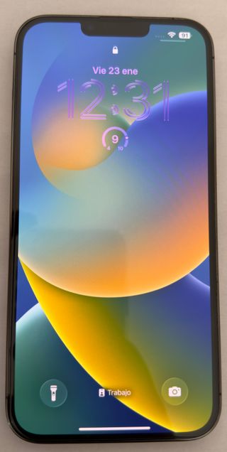 iPhone 13 Pro Max Grafito